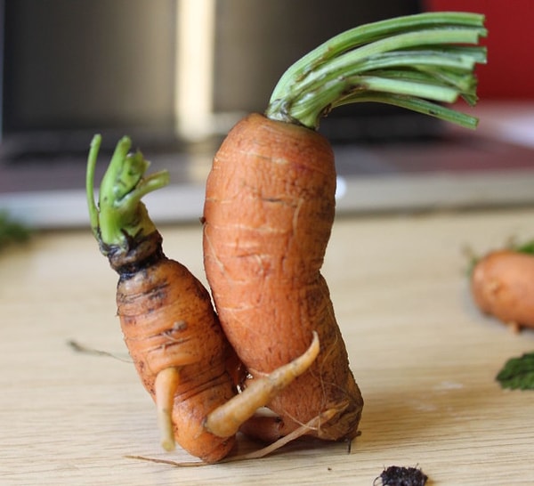 3. Мы часто используем недвусмысленные фотографии для наглядности