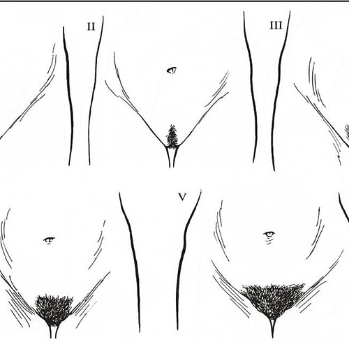 14 Wtf Facts About Female Pubic Hair You Probably Didn T Know