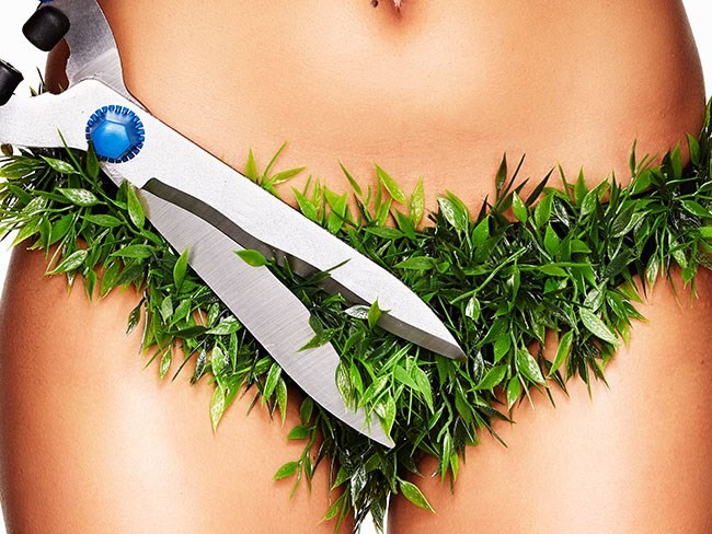 14 Wtf Facts About Female Pubic Hair You Probably Didn T Know