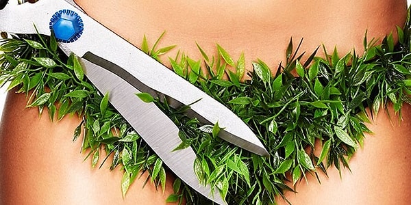 14 Wtf Facts About Female Pubic Hair You Probably Didn T Know