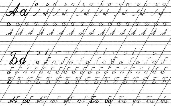 12. В русском алфавите 33 буквы