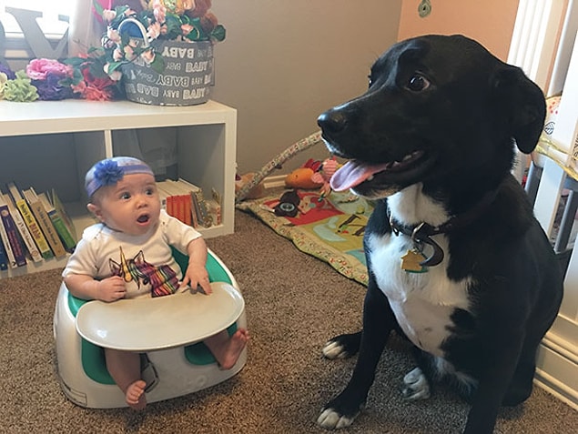 23. Köpek ve bebek... İkisi için de bir ilk...