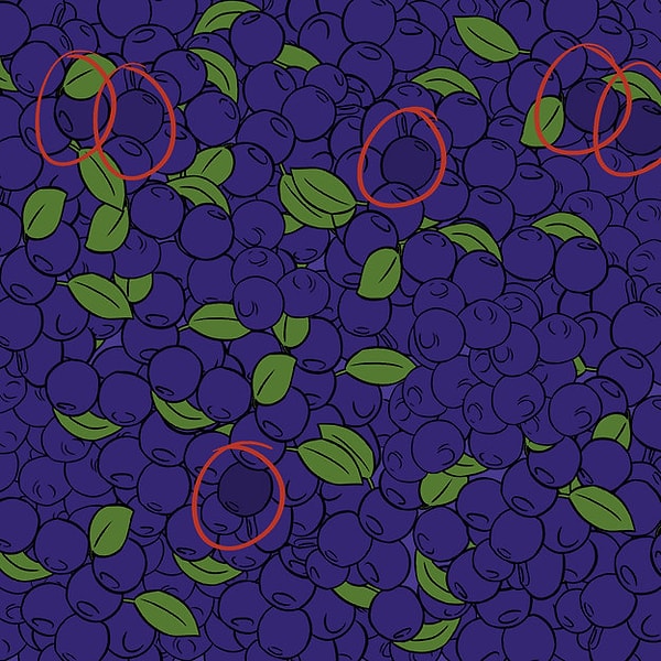 Показать правильный ответ