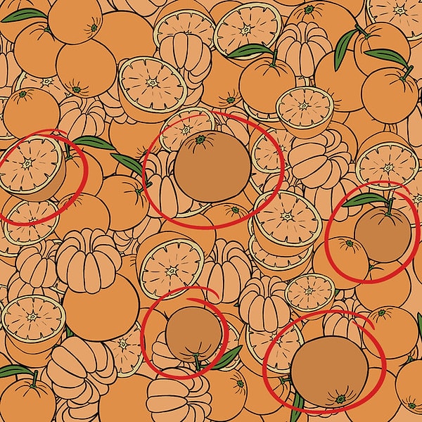 Показать правильный ответ