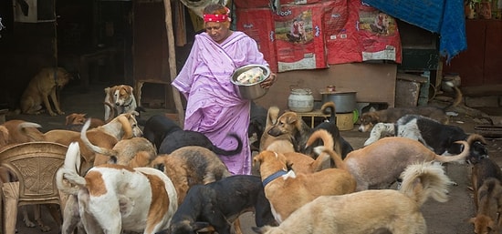 65-летняя женщина из Нью-Дели заботится о 400 собаках, хотя у нее нет денег даже на себя