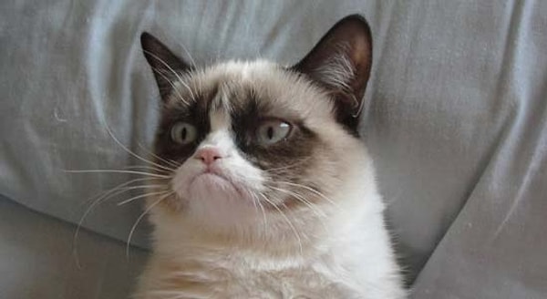 18. Вы привыкли к угрюмым лицам на улицах.