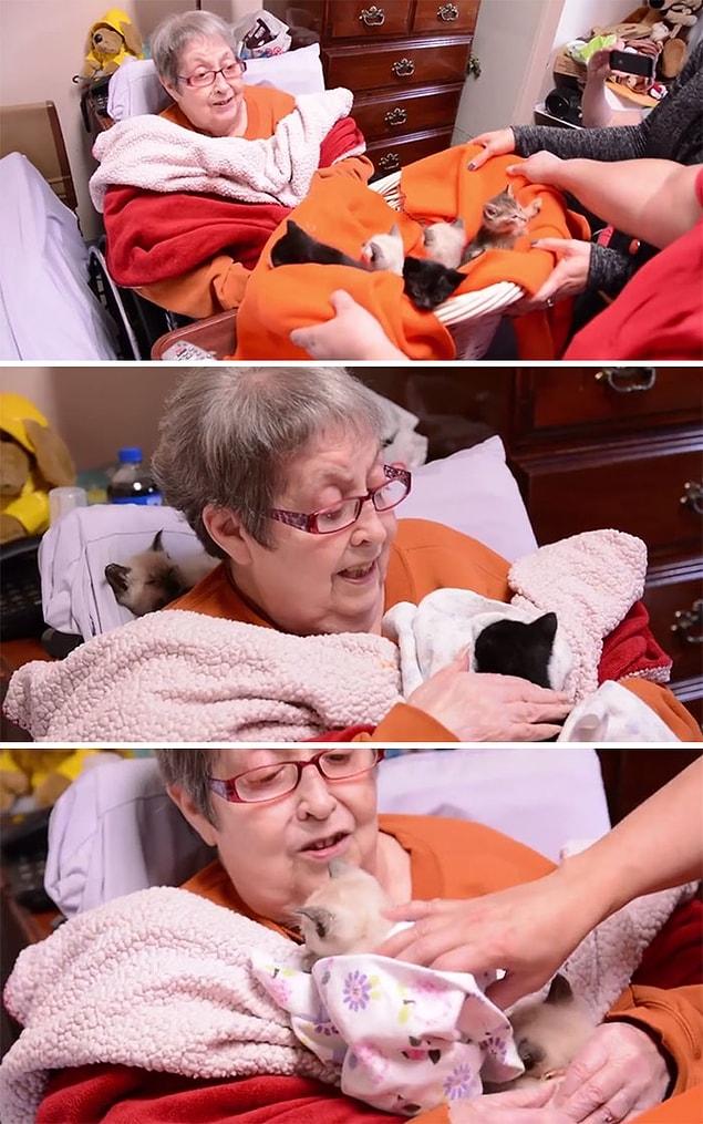 19. A hospice patient receives her dying wish to snuggle some kittens.