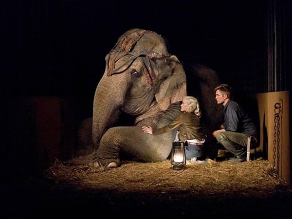 8. Воды слонам!