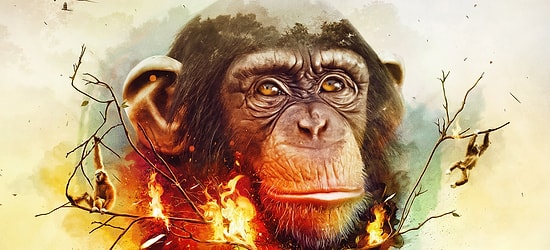 Топ-10 фактов о шимпанзе, накладывающих тень на все человечество