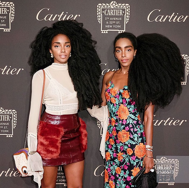 Now, whatever Cipriana and TK Wonder do,