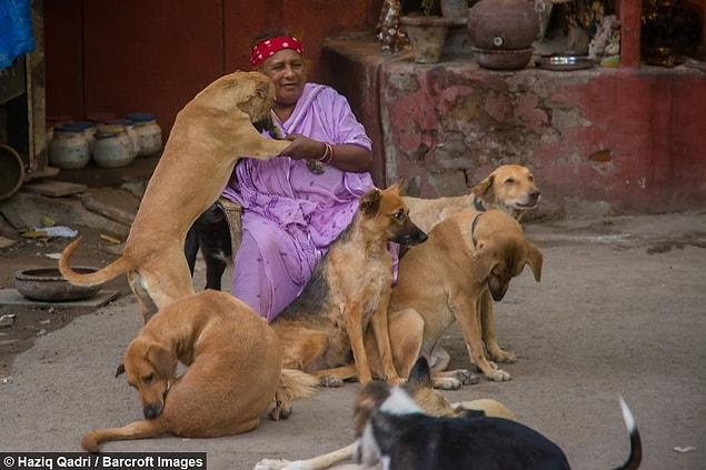 Pratima lives in a tarp-covered shed with her 120 dogs and sells scraps to feed them.