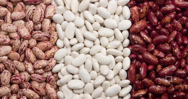 7. Тем, кто любит фасоль, старость не страшна!