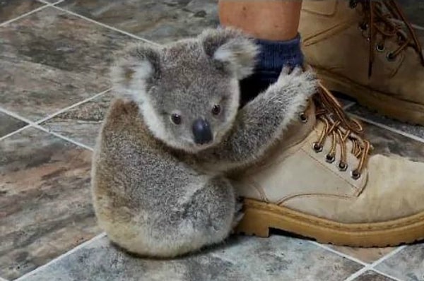 8. Когда на тусовке вы знакомы только с одним человеком: