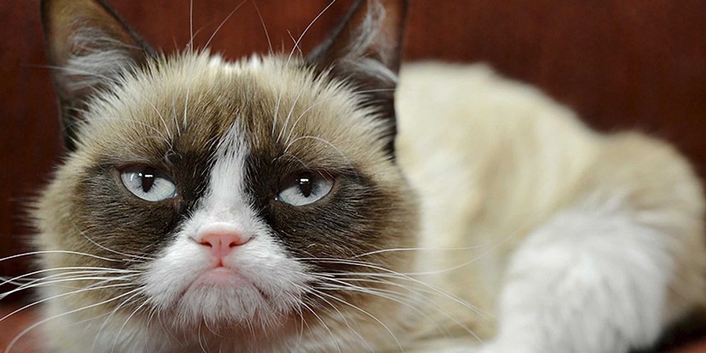 Yüzde Kaç Makul Yüzde Kaç İnatçısın?