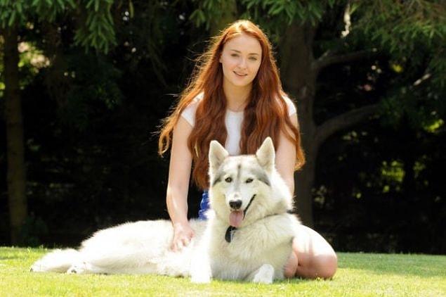 8. Sophie Turner, who plays Sansa Stark on Game of Thrones, fell in love with this direwolf and adopted her.