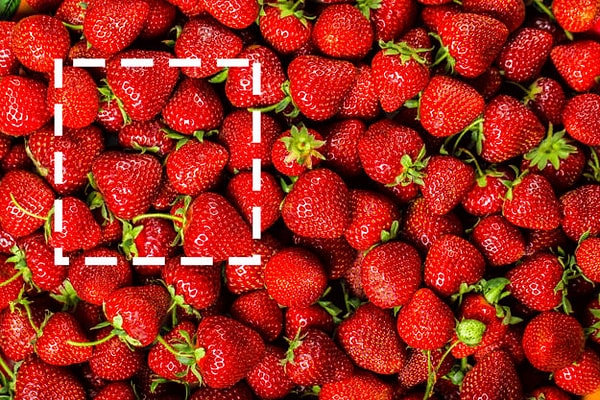 Показать правильный ответ