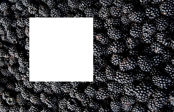 8. И напоследок, ароматная ежевика: уже нашли недостающую часть?