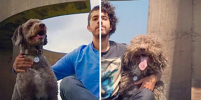 Tıraş Olduktan Sonra Bambaşka Bir Varlığa Dönüşen 32 Minnoşun Efsane Fotoğrafları