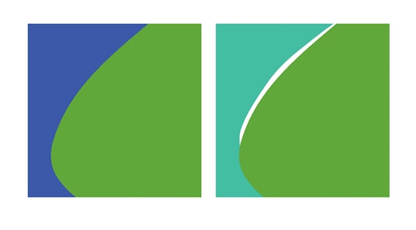 Показать правильный ответ