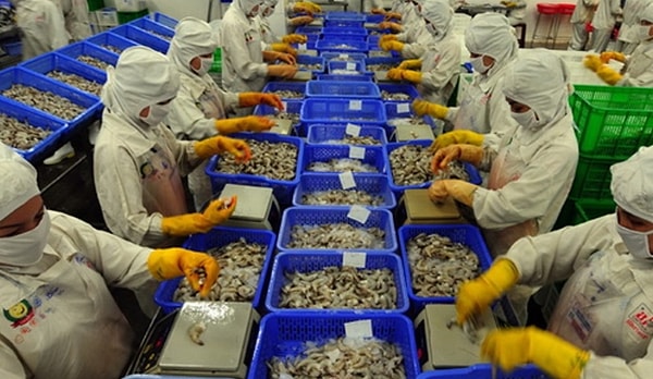 14. Креветки