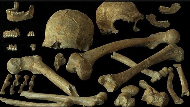 She said the DNA, "represents a unique window into Neanderthal lifestyle – revealing new details of what they ate, what their health was like and how the environment impacted their behavior."