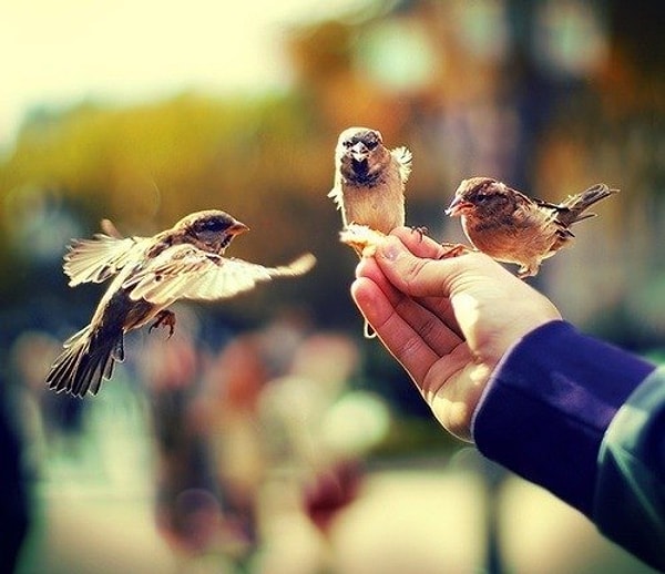 8. Из тысячи тех, кто говорит красиво, я выберу того, кто молча делает дела.