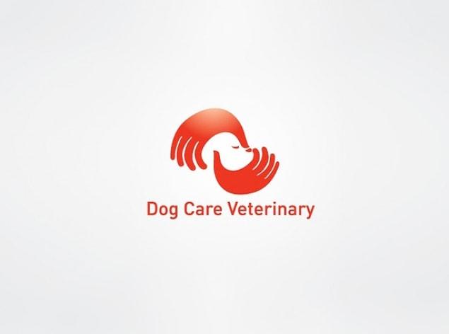4. Dog Care Veterinary