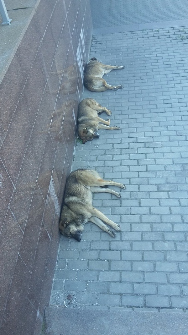 9. Тройная ошибка