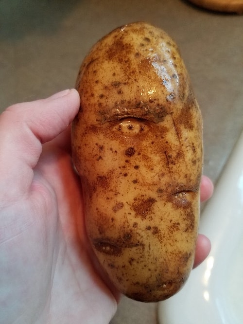 This potato that is the exact same figure as the Pink Floyd album cover.
