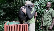 Here Are 16 Super Happy Animals To Warm Your Cold Dead Heart Today!