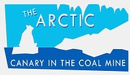 Are We Heading Toward A Disaster? Here's What's Going On In The Arctic.