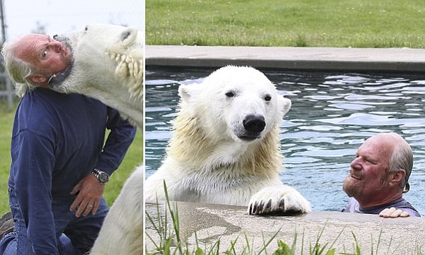 8. Плавать с белым медведем под силу только Марку Думасу