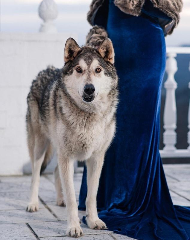 4. If you don't have a wolf like that why bother marrying at all?!