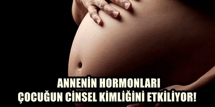 Eşcinsellik Tartışmaları Bitmiyor: Gebelikte Alınan Hormonlar Cinsel Kimliği Etkiliyor mu?