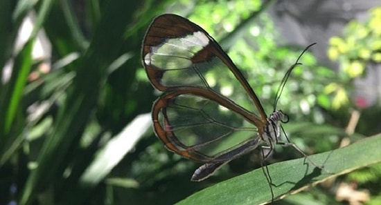 13 неожиданных фото, доказывающих, насколько удивителен наш мир