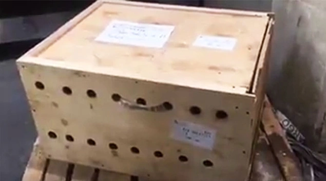 Деревянная коробка без каких-либо опознавательных знаков пролежала в Бейрутском международном аэропорту, Ливан, целую неделю