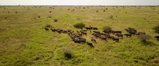 Drone Görüntüleriyle Güney Afrika'nın Eşsiz Doğal Güzelliği