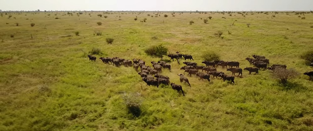 Drone Görüntüleriyle Güney Afrika'nın Eşsiz Doğal Güzelliği