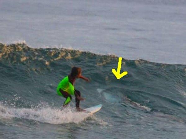 9. Bu sörfçüyü dalgaların arasında bir sürpriz bekliyor.