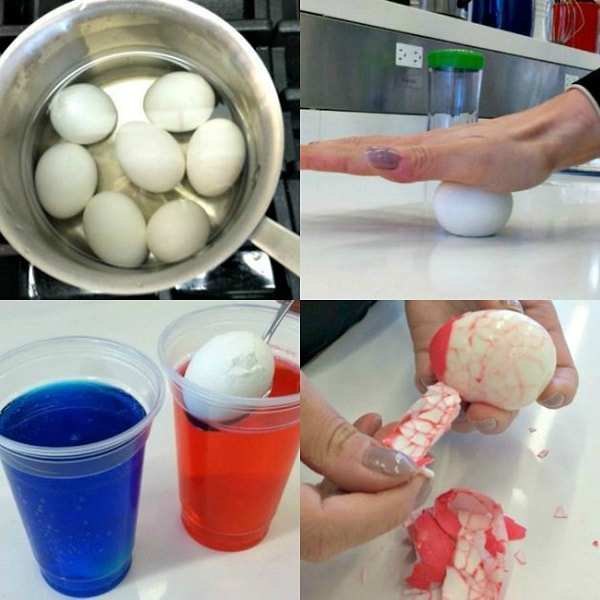 5. Следуйте инструкции 🔽