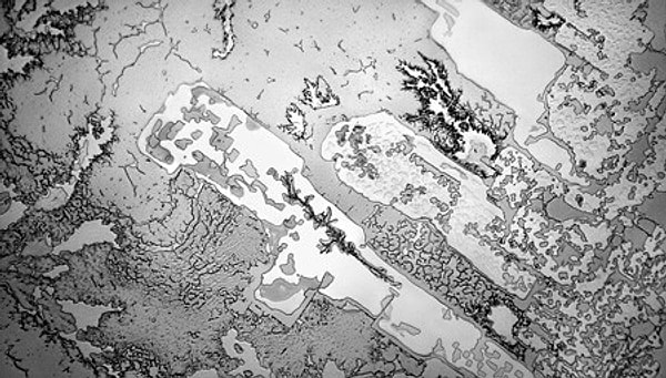 8. Слёзы встречи после долгого расставания