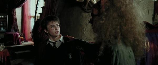 11. Dumbledore, Trelawney'nin doğruları gördüğünü biliyordu.