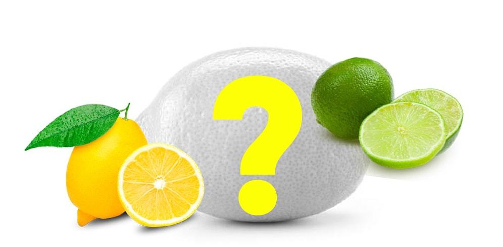 Тест: Спорим, вы не сможете отгадать еду в ее черно-белом варианте?