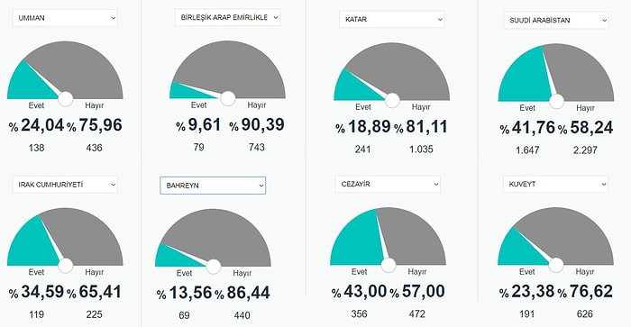 Yurt Dışından Gelen Oylar da Belli Oldu! İşte 35 Farklı Ülkeden Evet-Hayır Dağılımları