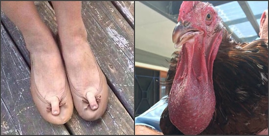 20 фотографий, которые заставят вас плеваться от отвращения