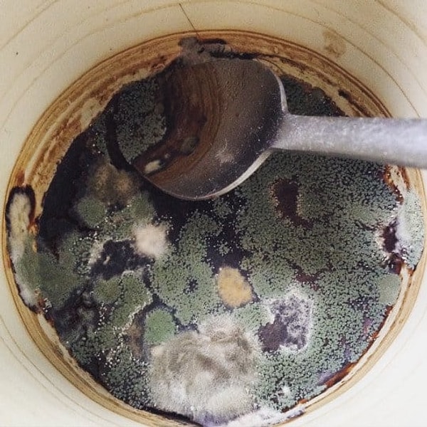 15. Этот кофе похож на Землю, снятую со спутника... ☕