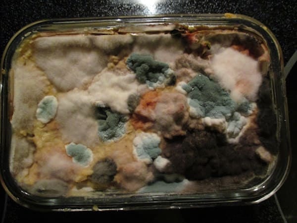 18. И снова пушистики