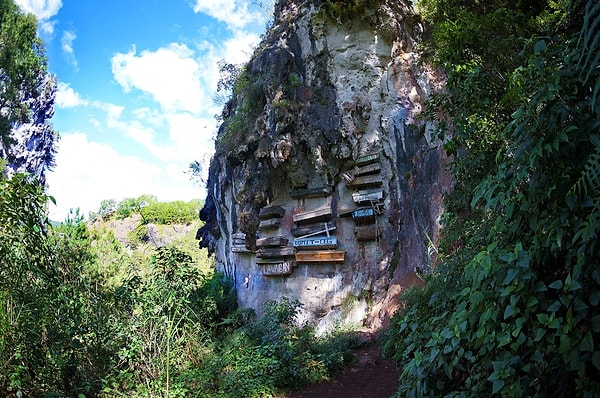 3. Висячие гробы Сагады