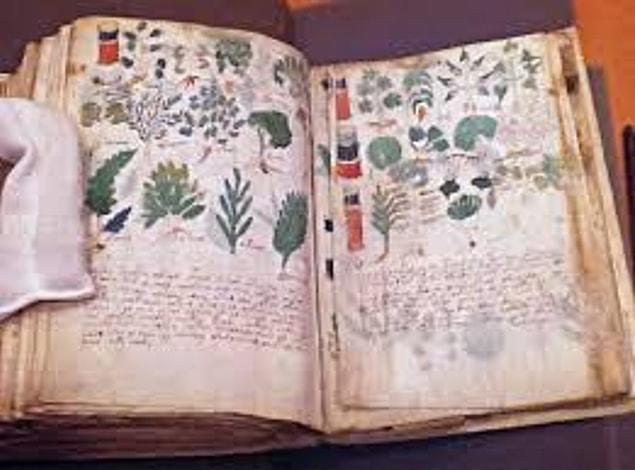 Voynich tried to decrypt the code for years since he got his hands on the book, thinking that there may be some cryptic secrets that have been hidden.
