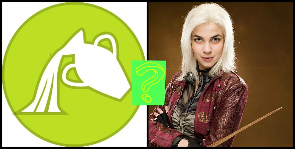 Тест: Выбери свой знак Зодиака, и мы скажем, кто ты из Гарри Поттера